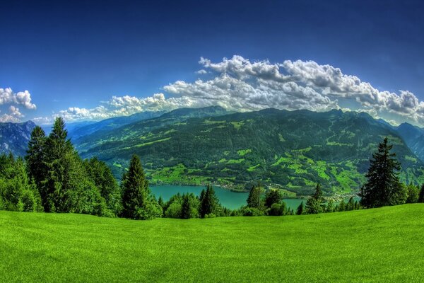 Tout est coupé: montagnes, eau et forêt