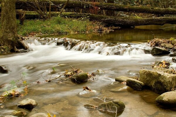 Arroyo de montaña con piedras y agua fría