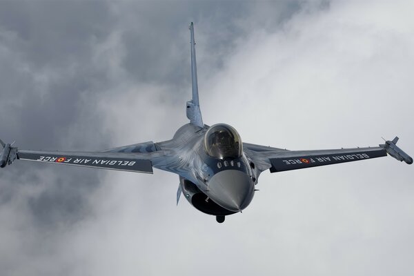 Combattant sur fond de ciel gris