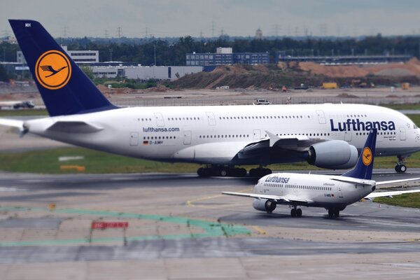 People came to visit on a big plane