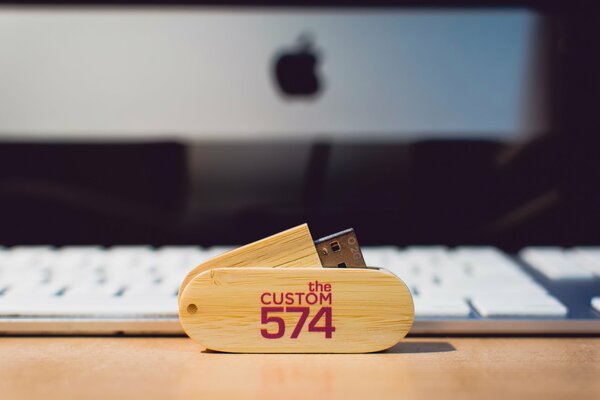 Flash Drive fait dans la conception en bois