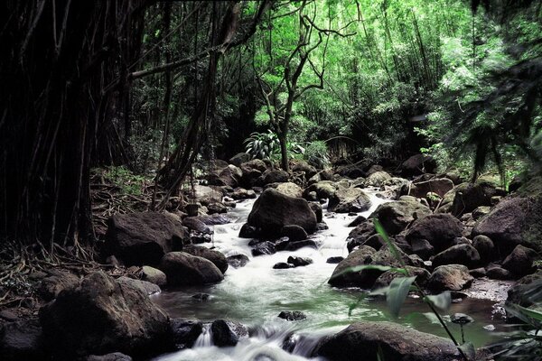 The murmuring and running of the stream is like the chirping of children