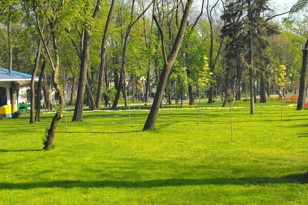 Маленький домик в зелёном осеннем парке