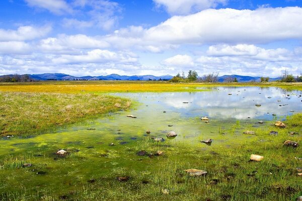 Swampy lake and cloudy blue sky