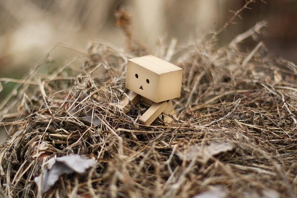 A cardboard man in a haystack