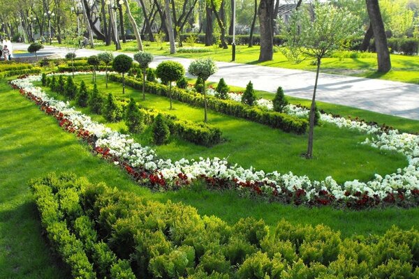 Die Schönheit der Grünflächen des Parks