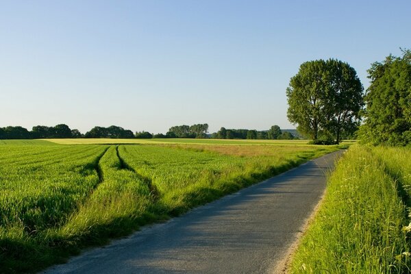 An einem sonnigen Tag ist der Weg über das Feld