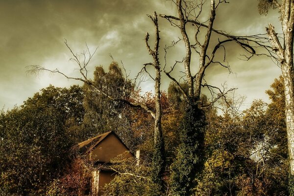 Clouds are gathering in the sky above the house