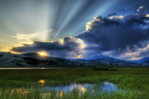 Sumpfgebiet dunkle Wolken