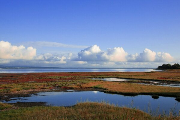 Beautiful landscape of blue water, grass and blue sky