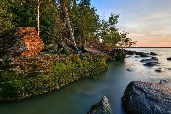 Rive de la rivière avec des pierres envahies par la mousse