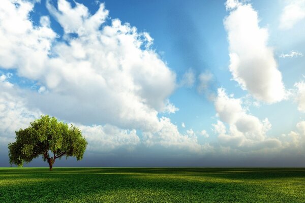 Journée d été sereine sous un ciel sans fond