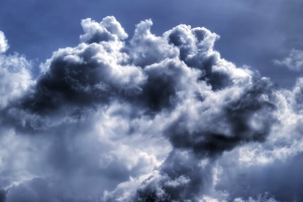 Las nubes de tormenta siempre se parecen a algo