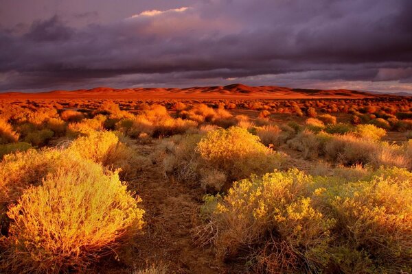 The sky in the desert was covered with clouds