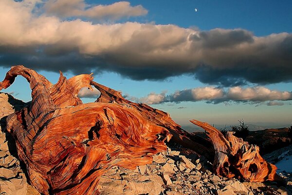 Landschaft mit grauen Wolken