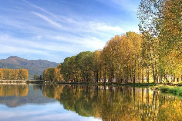 Spiegelung der Natur im See