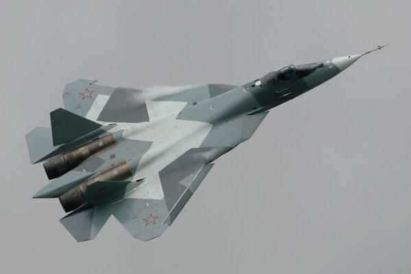 Multi-purpose T-50 aircraft on a gray sky background