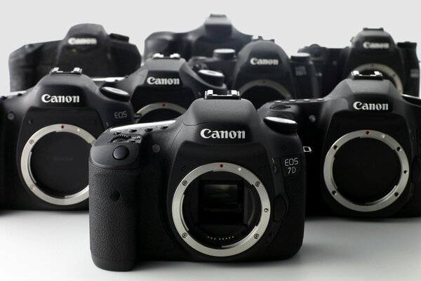 Canon eos 7d под макро на светлом фоне