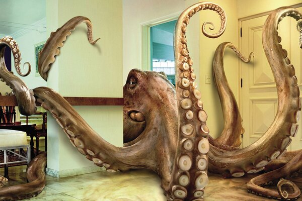 Un enorme pulpo se arrastra por el Apartamento