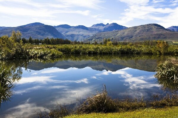 Mirror image of wildlife in the lake