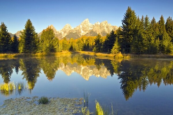 La naturaleza y el cielo se unen