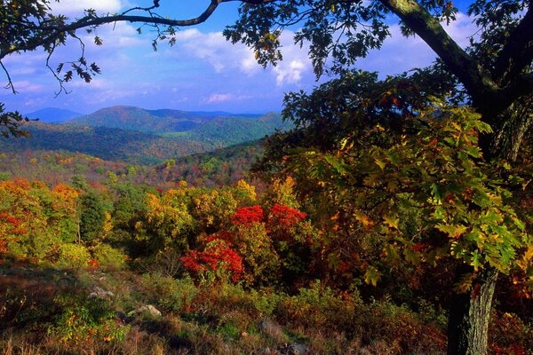 Paesaggio autunnale e colori autunnali