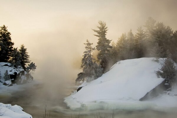 Winter thick fog in the forest