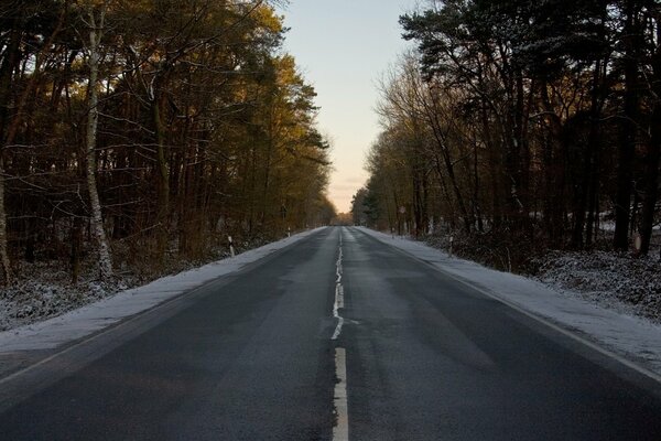 The highway is a road in forest plantations