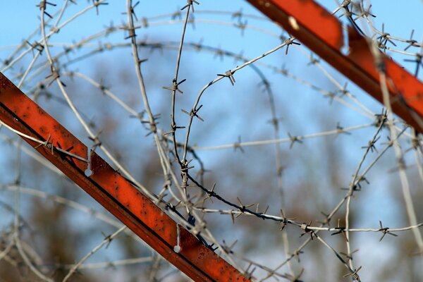 Barbed wire fence heaven creative