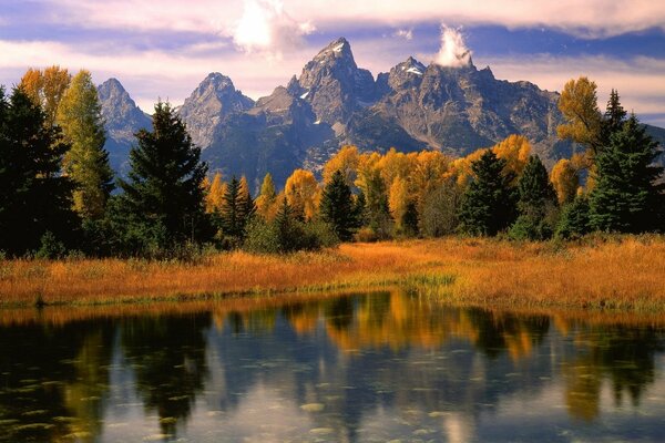 Herbstlandschaft mit gelbem Gras