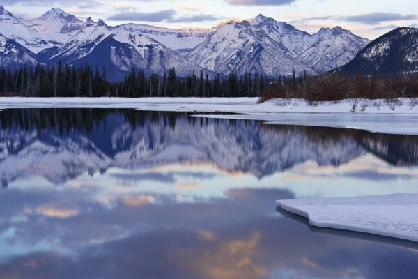 Reflejo del invierno en la superficie del lago