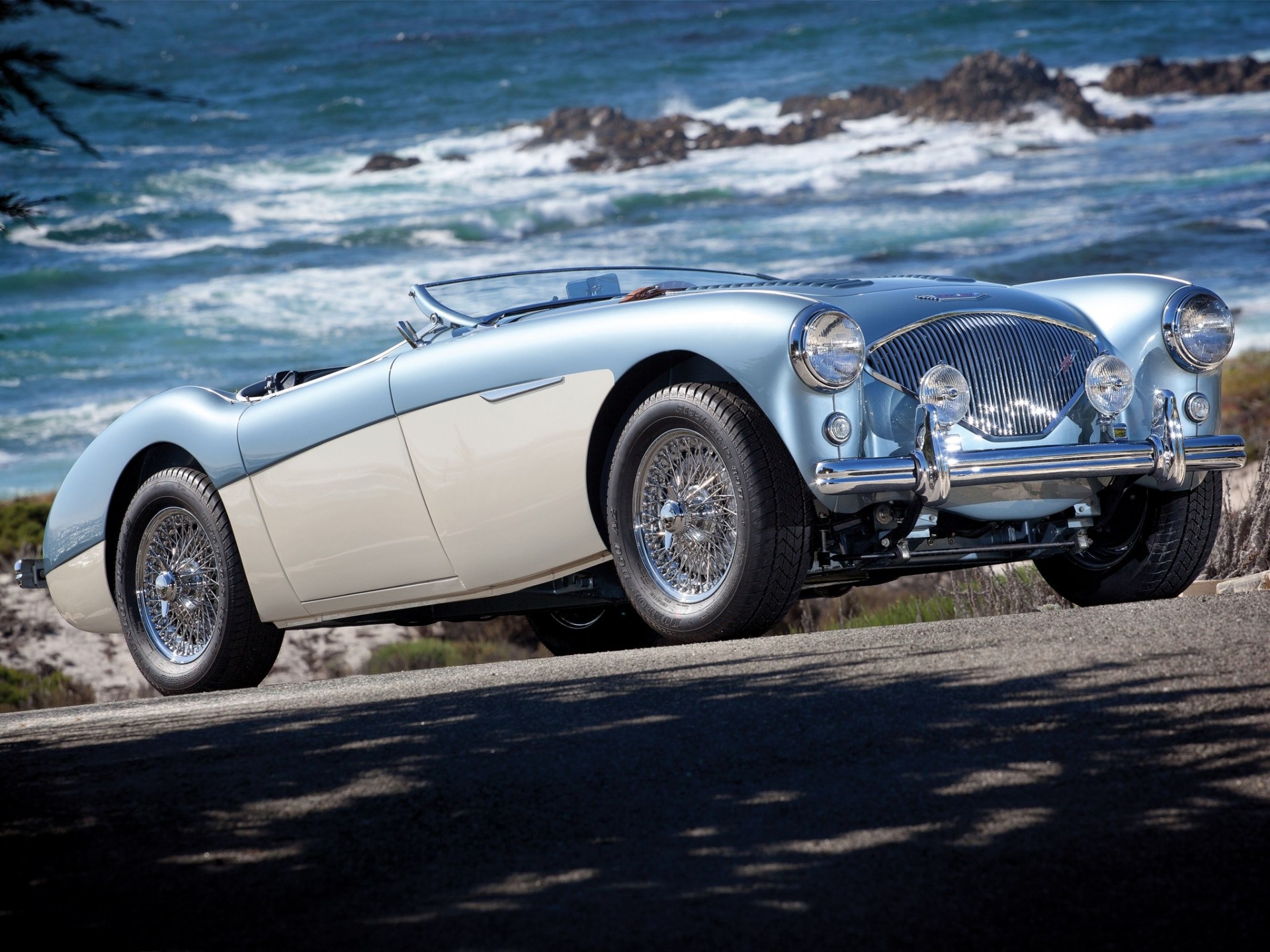 austin healey