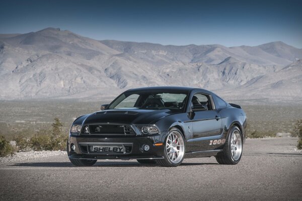 Voiture Mustang noir se dresse