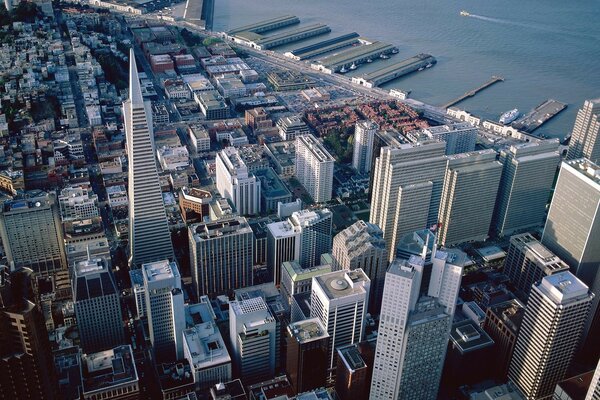 Tall skyscrapers in the metropolis