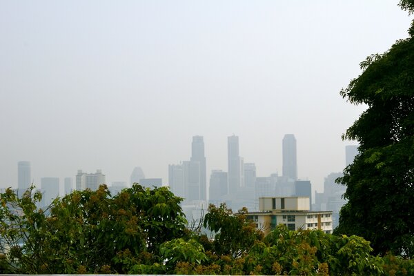 Singapour est une ville de ciel sans limites et de nombreux arbres