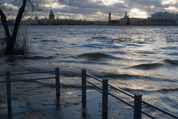 Waves on the water drowned the grass