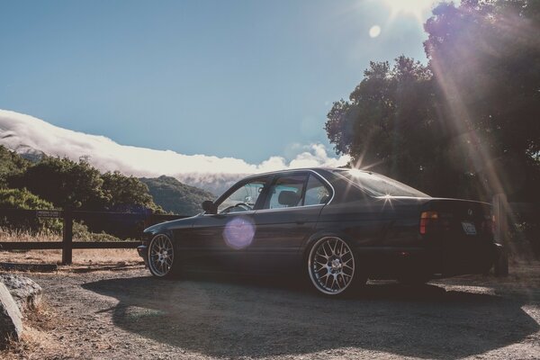 BMW classica nella radura della foresta