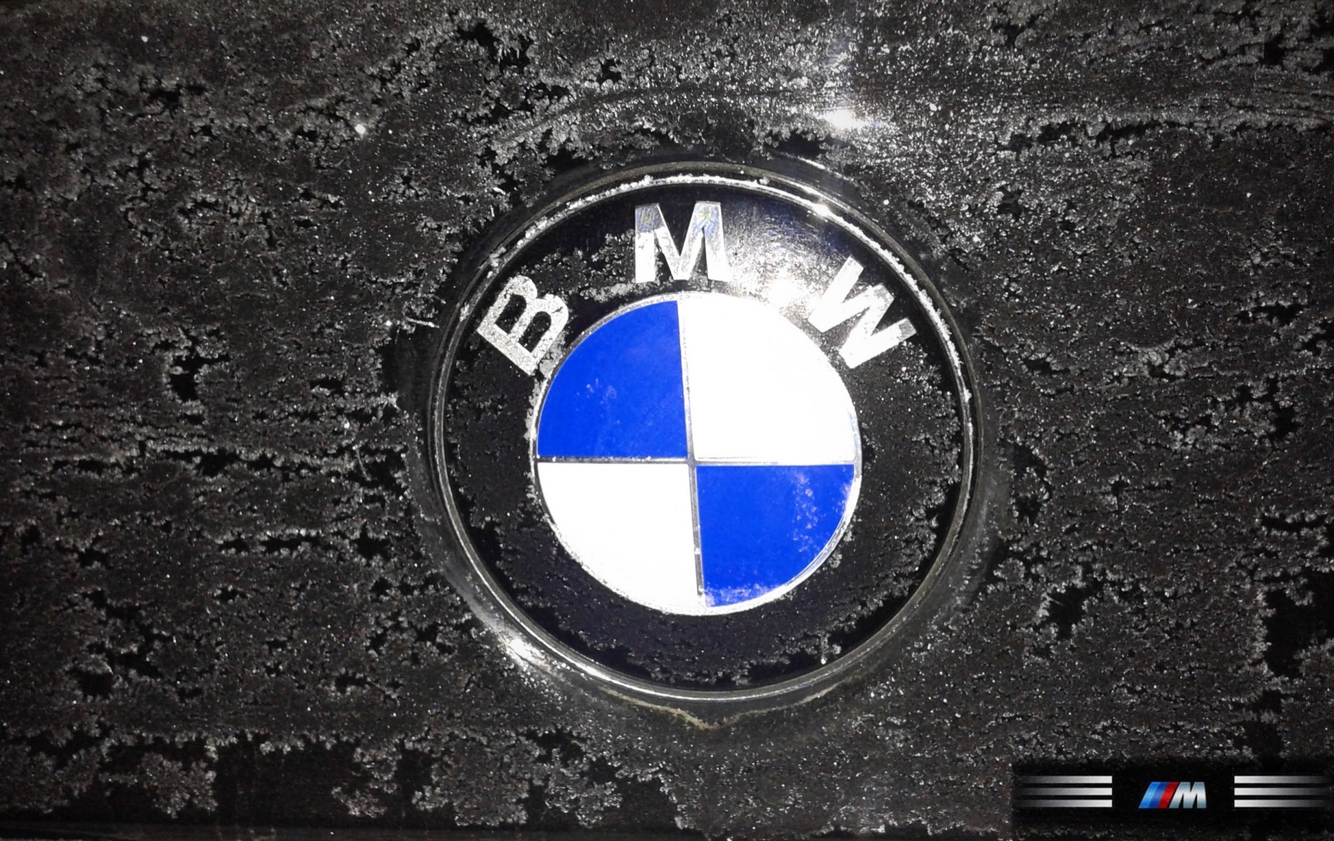 club emblem e46