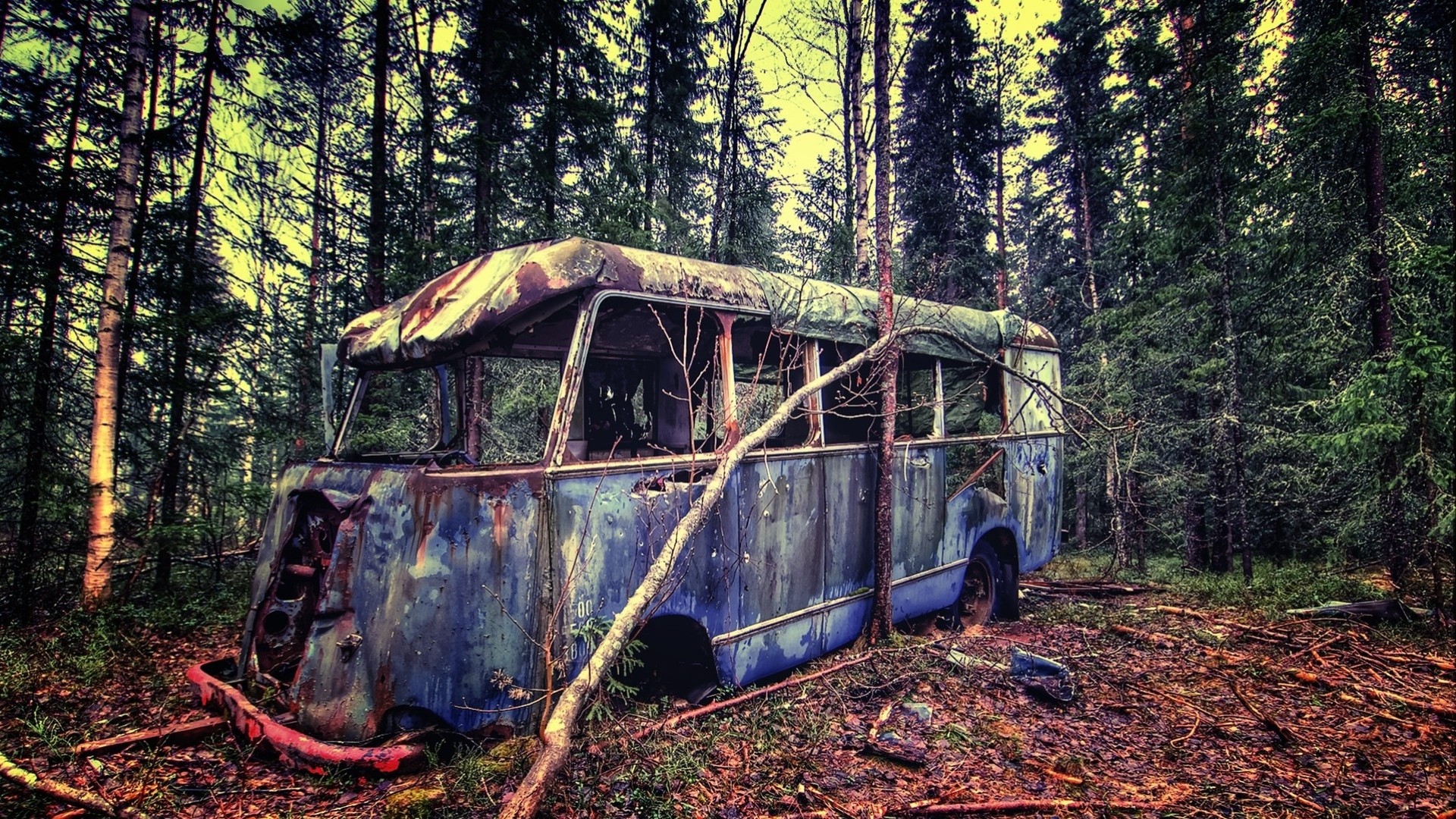 wald wrack bus filialen