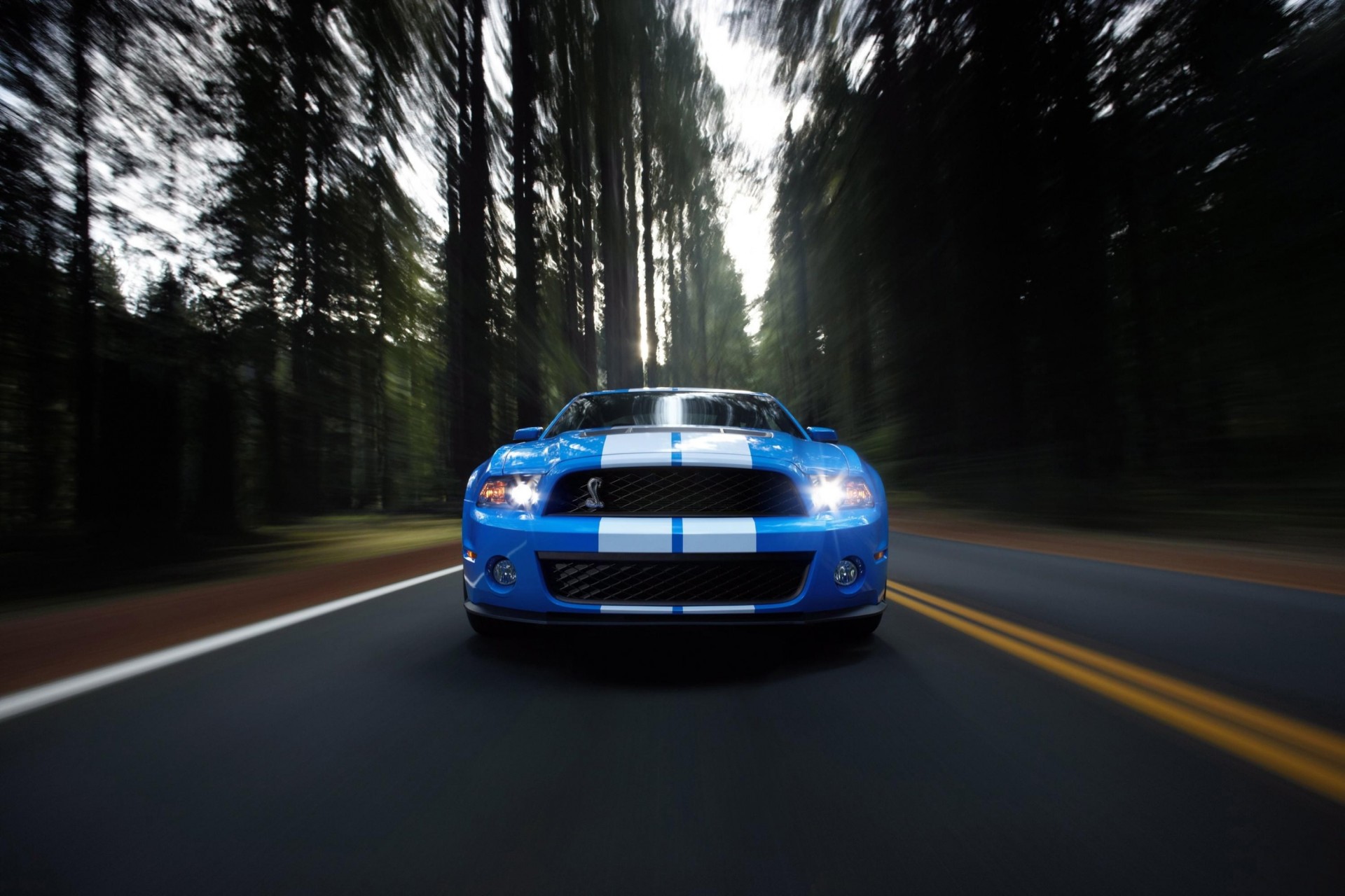 cielo ford griglia strada mustang natura palme foresta blu automobili fari