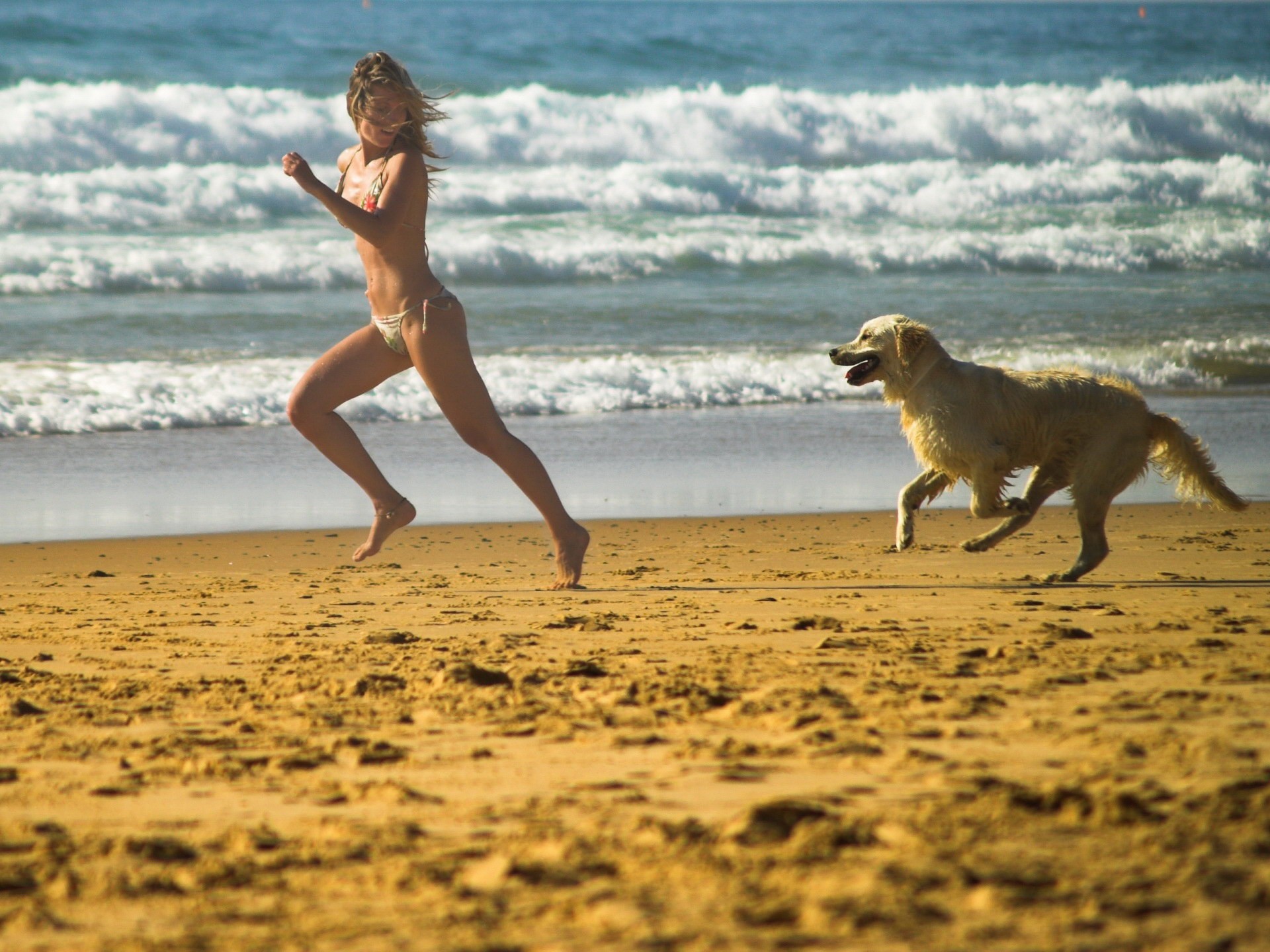 gioco cane spiaggia