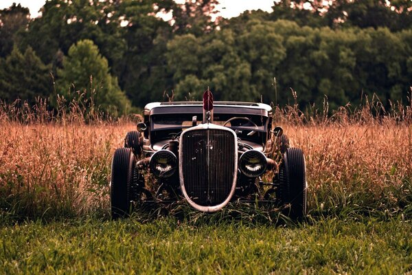 An old car in a clearing in the forest