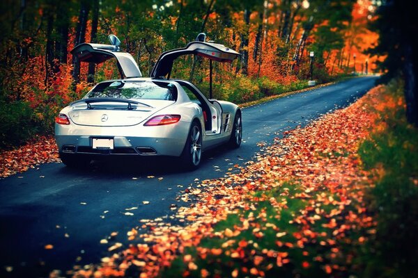 Sur un beau fond de feuillage Monte une voiture grise