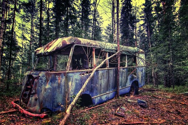 Viejo autobús roto en el bosque