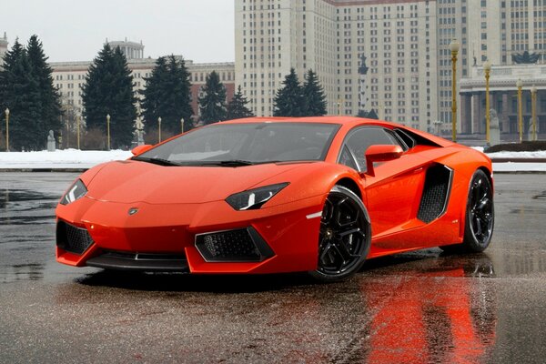 Lamborghini 2013-come dipinto