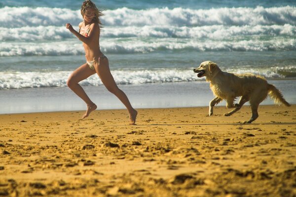 Juego de ponerse al día en la playa con el perro