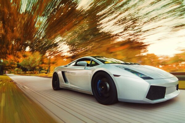 Lamborghini white sports car in autumn landscape blur