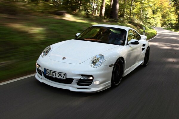 Porsche blanco corriendo entre los bosques oscuros