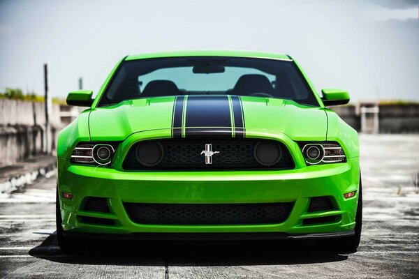 Ford mustang boss on the road