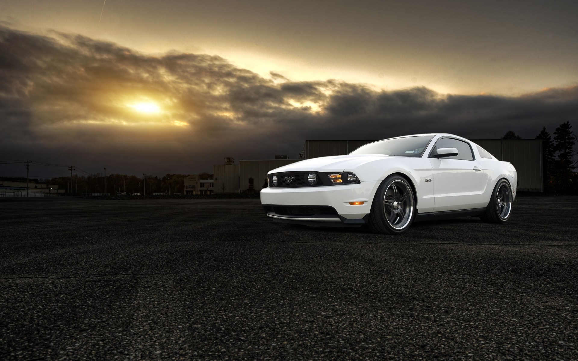 gt ford mustang white muscle car 5.0 front